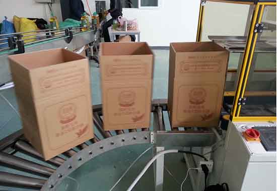 900ml枕式桶裝油全自動(dòng)裝箱機(jī)